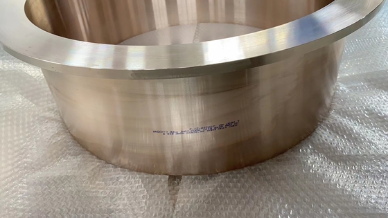 12“ van de het Roestvrije staalpijp van UNS S31803 snakt de Duplexmontage Type Stub End ASME B16.9 SCH10