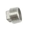De roestvrij staal Geschroefte van de de Pijpmontage van de Pijpmontage Ingepaste Vierkante hoofdstop, 150PSI, SS304 SS316