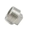 De roestvrij staal Geschroefte van de de Pijpmontage van de Pijpmontage Ingepaste Vierkante hoofdstop, 150PSI, SS304 SS316