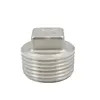 De roestvrij staal Geschroefte van de de Pijpmontage van de Pijpmontage Ingepaste Vierkante hoofdstop, 150PSI, SS304 SS316