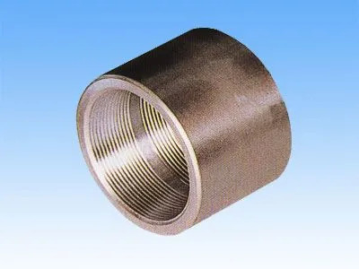 ANSI/ASME roestvrij staal Koolstofstaal Socketwelding Coupling Aanpasbare afmetingen & Materiaal Industriële kwaliteit