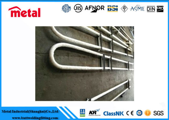 UNS S32205 Duplex U-bogen buizen van roestvrij staal ASTM A789 ASME SA789
