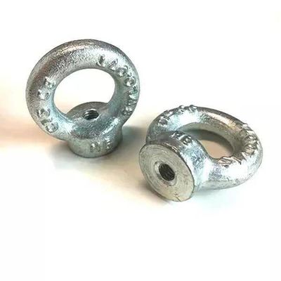Optuigenhardware 64mm 7/8“ Din582 Gesmede Opheffende Oognoot
