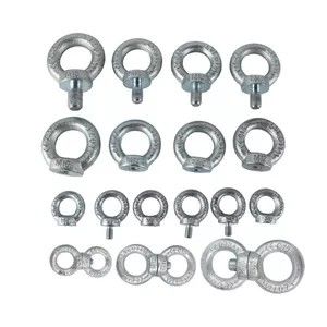 Optuigenhardware 64mm 7/8“ Din582 Gesmede Opheffende Oognoot