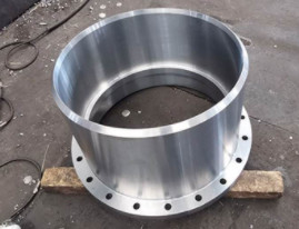 REDF die Flenslegering ASTM/UNSN-Nikkel 200 10“ verminderen 600#