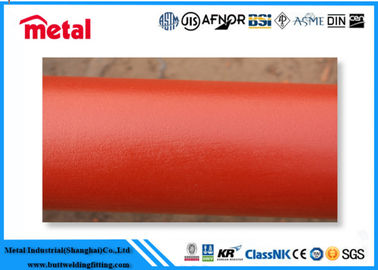 Het naadloze Plastiek bedekte Staalpijp API 5L GRB/A106 GRB EPOXI 300 met een laag Microns