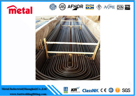 UNS 32205 U-vormige Metaalpijp, uit Diameter 4 Duimroestvrij staal om Pijp