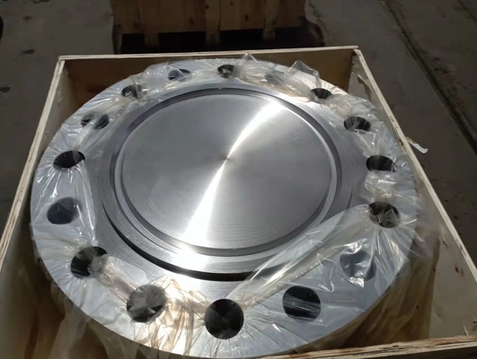 De duplex Blinde Flens 300# ASME B16.5 van Roestvrij staalflenzen A182 GR.F51