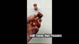 CuNi 90/10 flenslasnek EEMUA 145