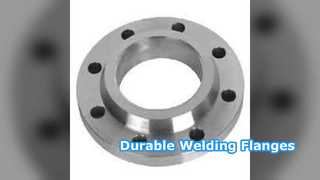 Lasnekflenzen SS304 SS316 PN6