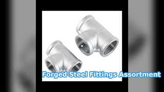 Gesmeed stalen fittingen T-stuk verloopstuk elleboogflens