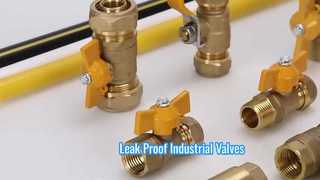 Hoogwaardige industriële kleppen voor stroomregelsystemen